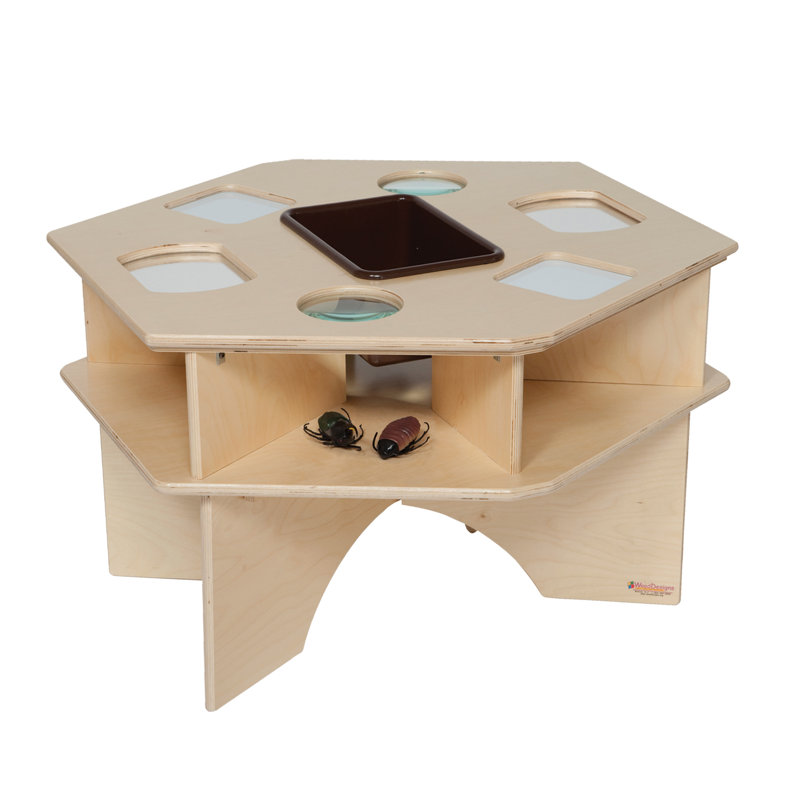 Natural Environments Deluxe Science Table w/Tub, Natural/Brown