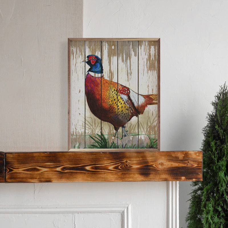 Common Pheasant, H 20 po x l 16 po