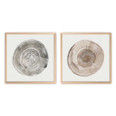 Rings of Time Duo I Set of 2 Canvas Prints in a Frame