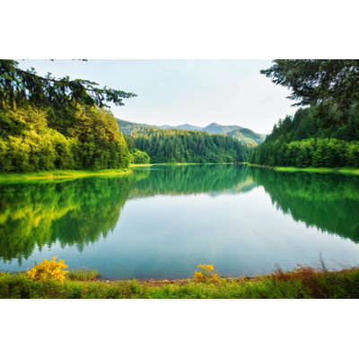 " Forest Lake "