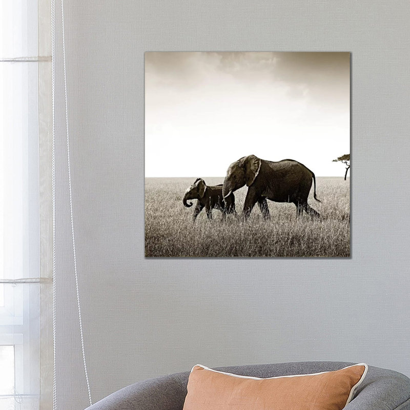 Bonded Elephant by Klaus Tiedge - Print on Canvas, Wrapped Canvas, 66.04 cm H x 66.04 cm W x 3.175 cm D