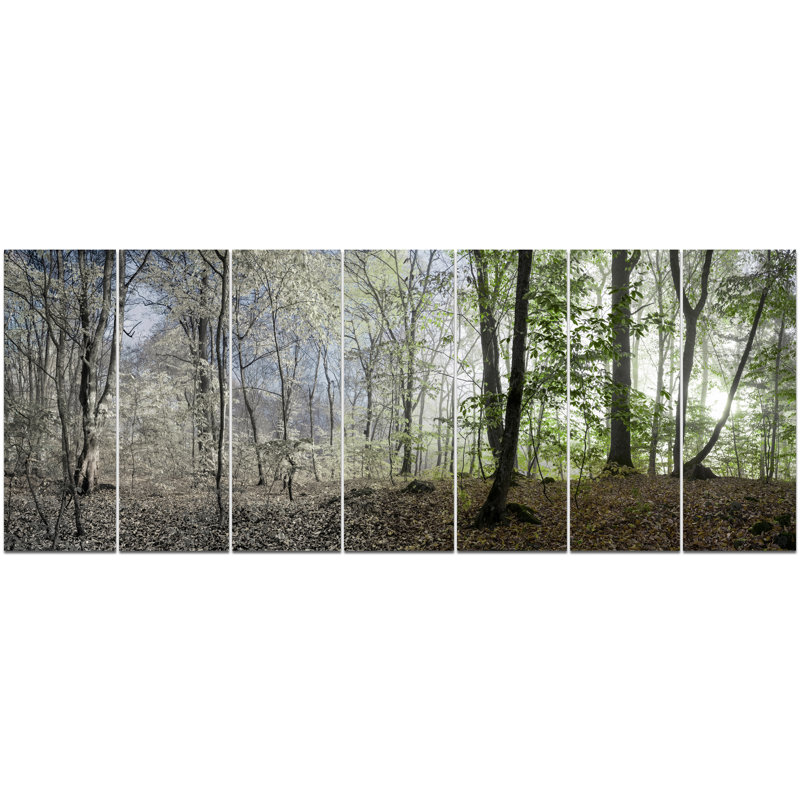 Green Morning Forest Panorama Canvas Wall Art Print