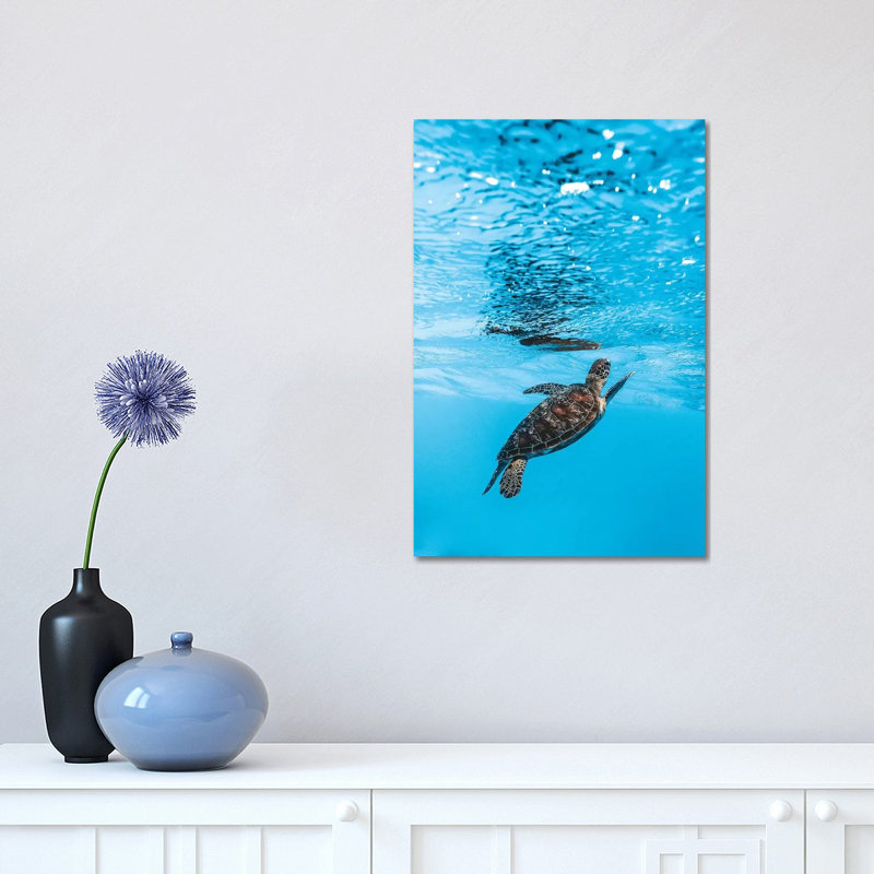 Underwater Little Turtle by James Vodicka - Wrapped Canvas Gallery-Wrapped Canvas Giclée, 45.72cm H x 30.48cm W