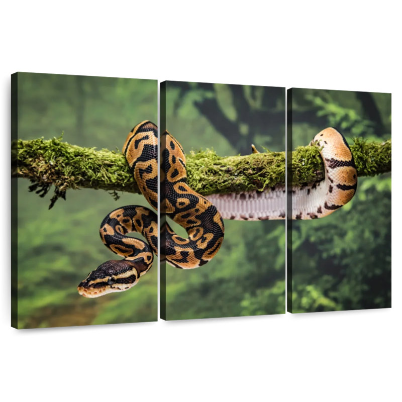Brampt Python On Branch, 48" H x 74" W