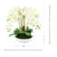 Arrangement d'orchidées dans un pot en fibre de pierre-275725810