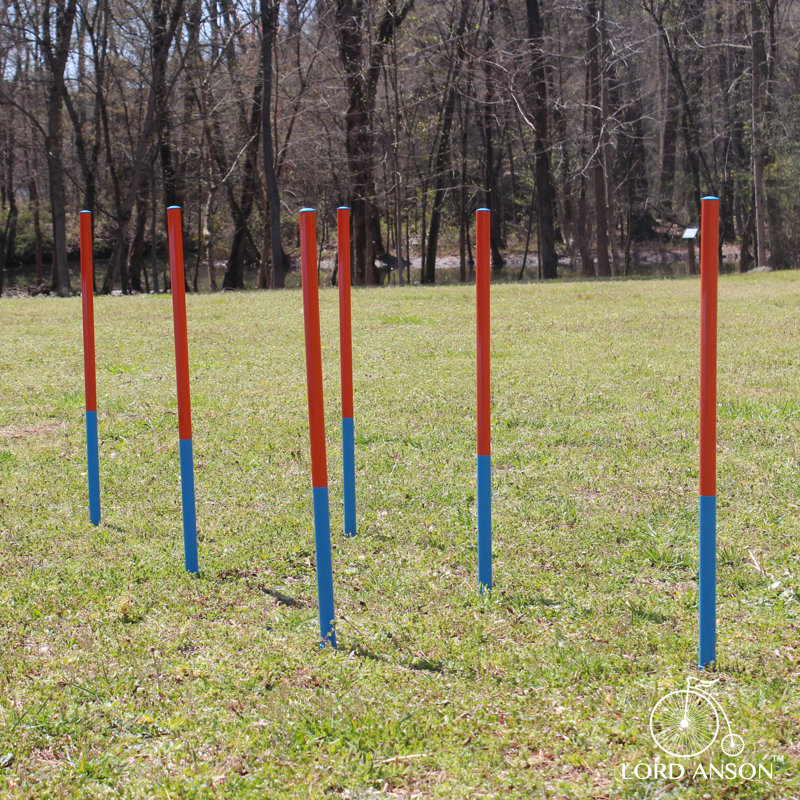 Adjustable Blue Dog Agility Training Set with Tunnel and Poles