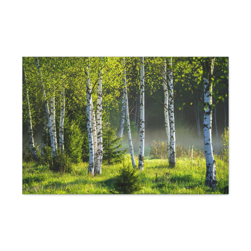 No Frame Print on Canvas, 12cm H x 18cm W