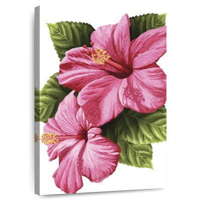 Hibiscus rose vif Harnek