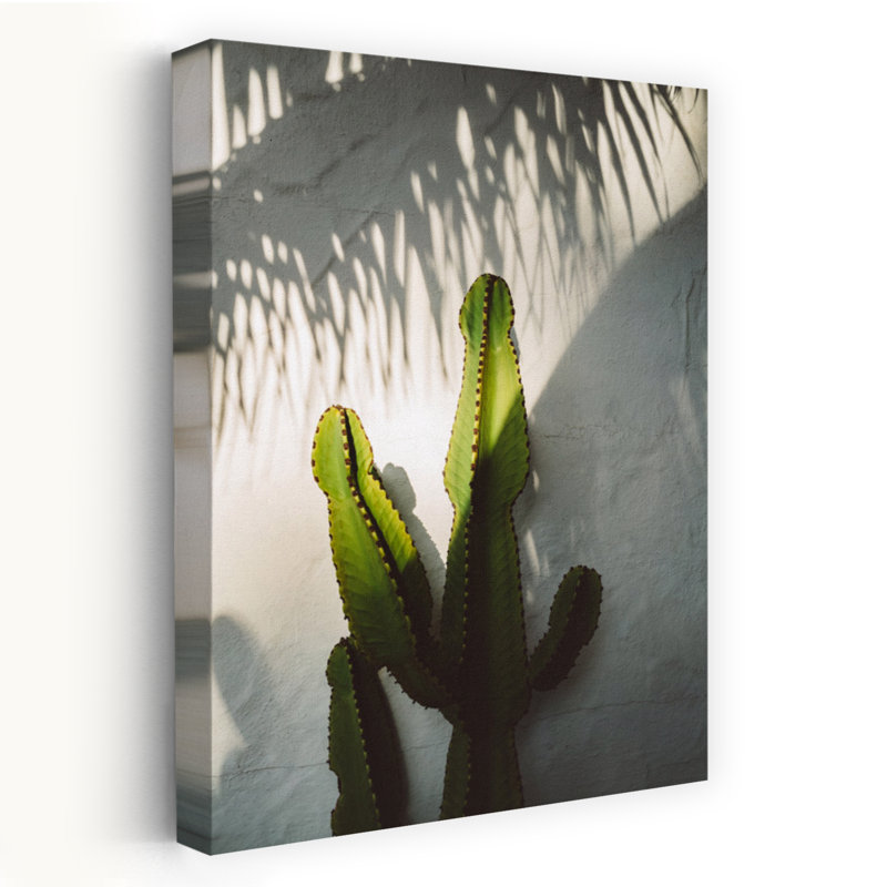 Socal Shadows Abstract Palm Tree Cactus Landscape Nature Wall Art Print 1 Piece Wrapped Canvas Wall Art