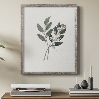 Reproduction florale vintage encadrée CL XXXVII - bois massif