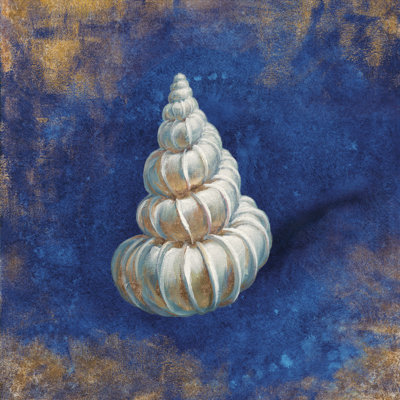 Treasures From The Sea Indigo II by Danhui Nai - Wrapped Canvas Painting