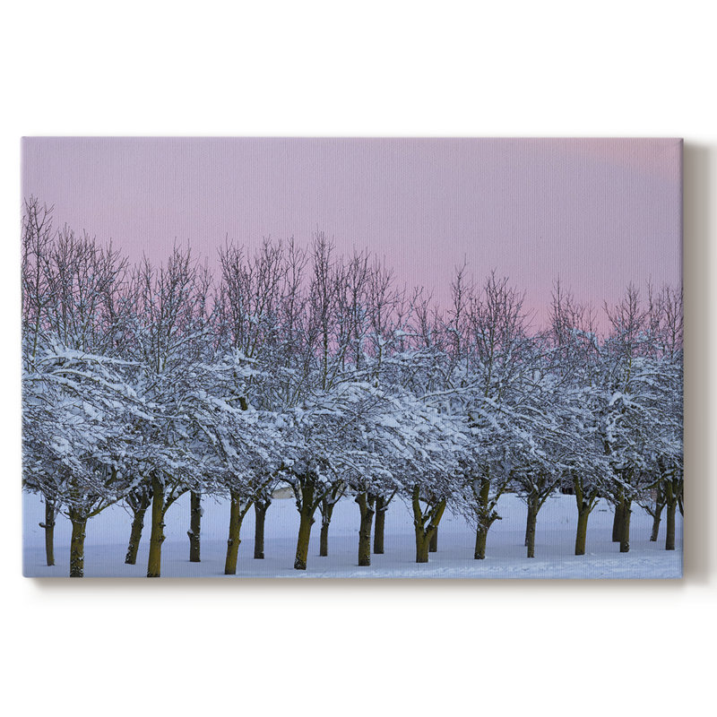 Beauté d'hiver - Cavas enveloppés de galerie, 24 x 36
