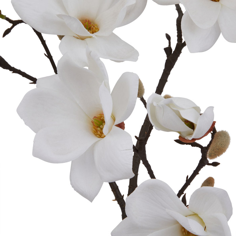 Anastasija Arrangement, White