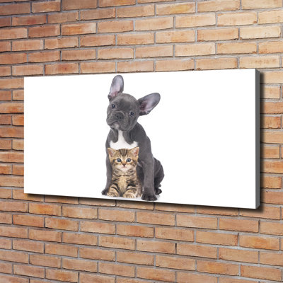 Dog And Cat - Wrapped Canvas Print