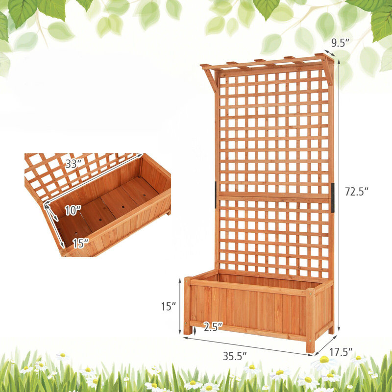 Arya-Jane Wood Raised Garden Bed with Trellis