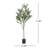 Aarav Faux Olive Tree Tree in Pot-1254011447