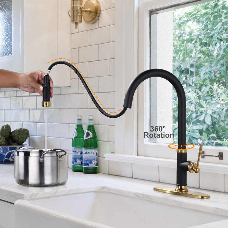 Robinet de cuisine à fixation sur le comptoir avec douchette rétractable à une poignée et deux options de débit d'eau