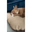 Solon Codura Pet Bed-99232196-99232198-99232194