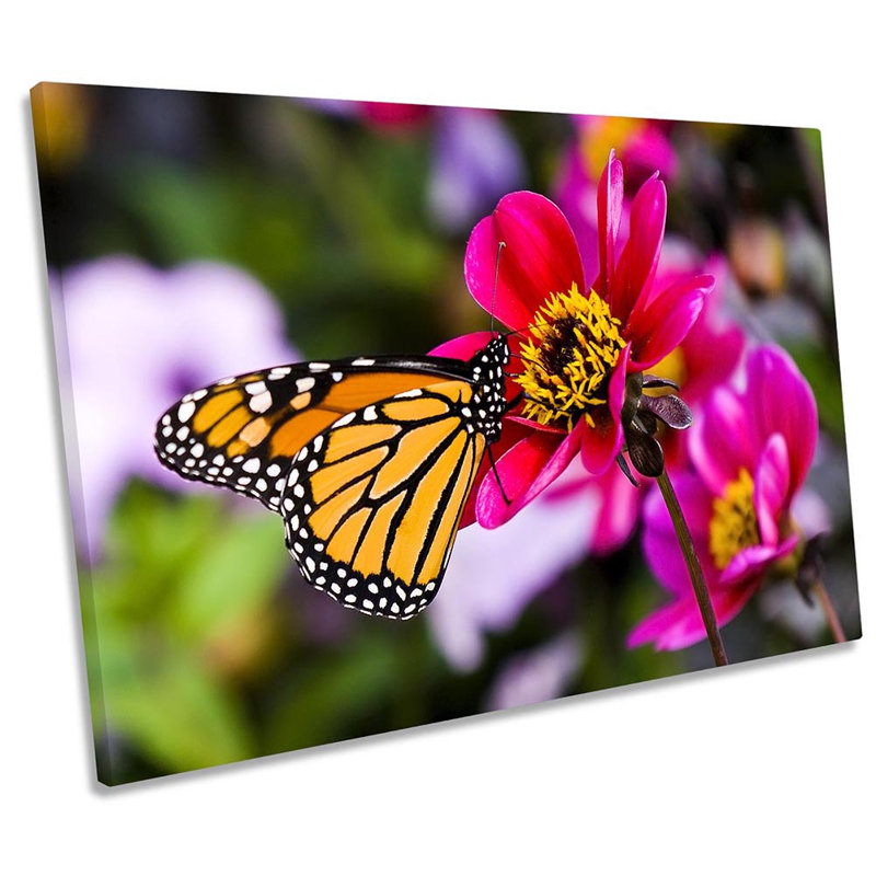 Butterfly Flower Floral - Wrapped Canvas Print, 30.5cm H x 45.7cm W x 2cm D