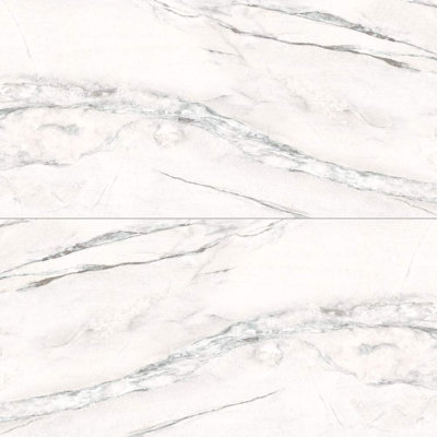 Monarch 24" x 48" Polished Porcelain Wall & Floor Tile