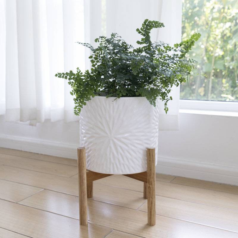 Elayna Ceramic Planter with Wood Stand, 15.6" H x 10" W x 10" D, White