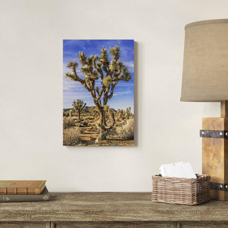 Vue de l'arbre de Josué III, H 18 po x l 12 po x P 1,25 po