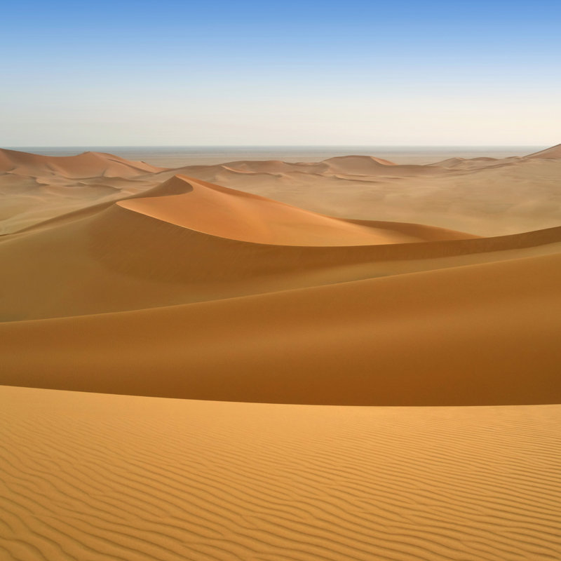 Sand Sea by Tibay - Wrapped Canvas Print, 51cm H x 51cm W x 3.8cm D