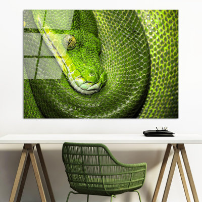 Boze Wall Decor