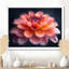 Photo de souci rose rose et orange chaud - souci mural-190633175-85216342