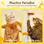 Grand condo 64 "pour chat-848029379-848029376