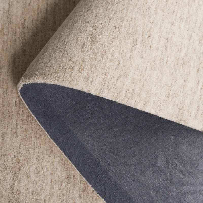 Tapis en laine beige tissé à la main Funchess, Rectangle 3 pi x 5 pi