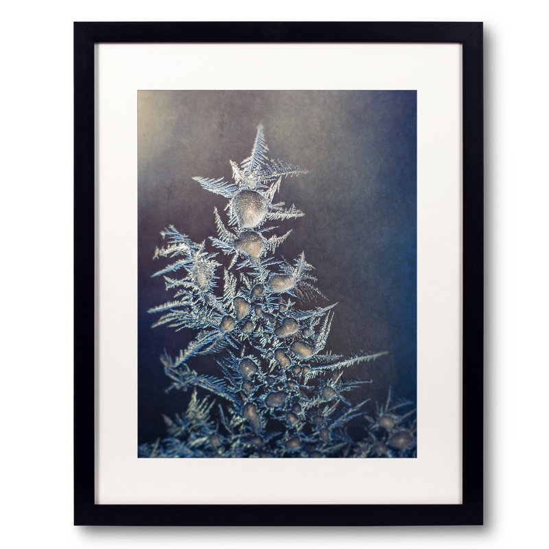 Frost Print by Scott Norris, 20" H x 16" W
