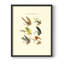 Bass Flies I, reproduction encadrée - bois massif-1559504231-1559504253