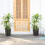 Dracaena artificiel Adcock 4 pi - Dracaena artificiel résistant aux rayons UV avec jardinière conique et plantes décoratives-824165773-824165762