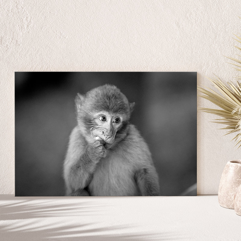 Art mural en forme de singe pour le bureau à la maison, 24 x 36 po_SPL18, H 16 po x l 24 po