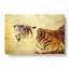 Oriental Tiger Vol.1 - Wrapped Canvas Painting-61842466