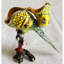 Boîte à accessoires Budgie