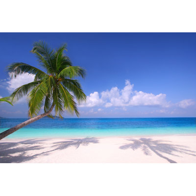 White Sandy Beach by Cenix - Wrapped Canvas Print