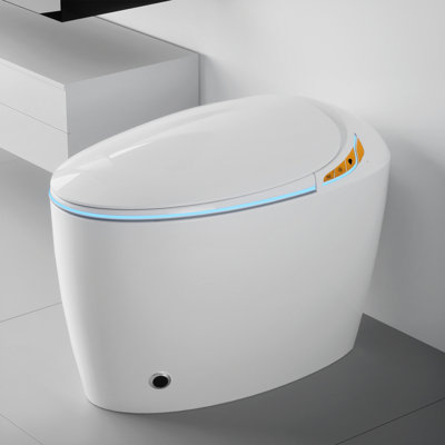 Smart Toilet With Bidet Built In