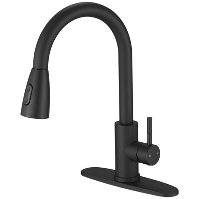 VIBRANTBATH Pull Out Kitchen Faucet