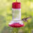 Gravity Hummingbird Feeder – Charming Cherry