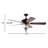 Osiris 52'' Ceiling Fan with Light Kit