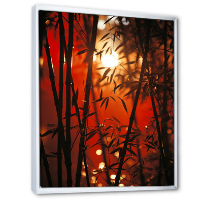 Bamboo Sunset - Bamboo, reproduction d'art sur toile_106585