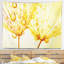 Tapisserie florale avec graines de pissenlit et gouttes d'eau-28487743