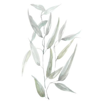 " Ethereal Eucalyptus I "