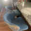Customer photo 1 of 2