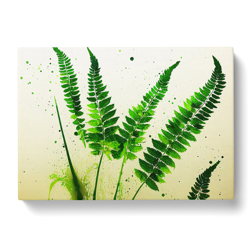 Fern Leaf Splash Vol.3 - Wrapped Canvas, 50cm H x 76cm W x 3cm D