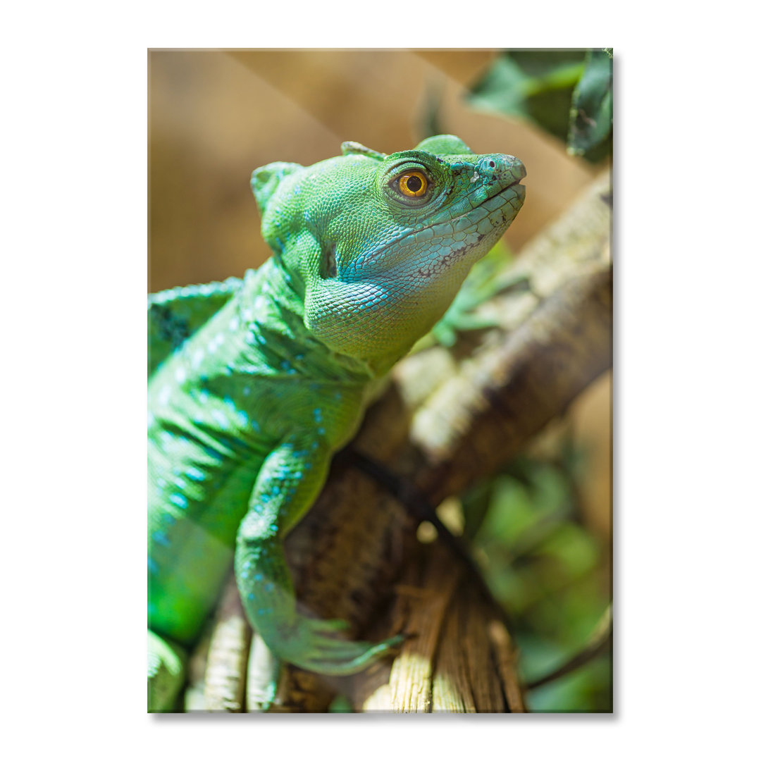 Ungerahmtes Foto auf Glas "Green Chameleon"