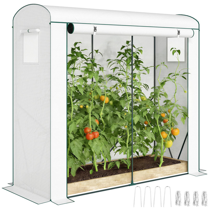 Greenhouse, White