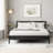 Scheller Solid Wood Platform Bed-538579706-648381232